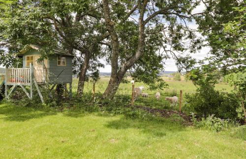 Moss of Bourach - Foto 29