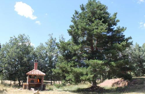 Eco Urbión - Foto 121