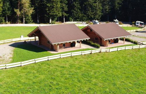 Blockhaus Almhütte Wiesenglück - Foto 2
