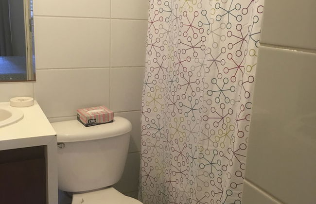 Santa Rosa Apartment, Santiago Downtown - Photo 9