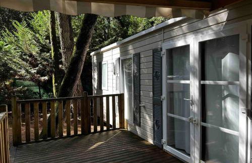 De La Terre Locan - Foto 9