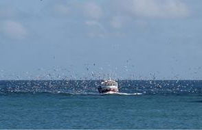 Fenêtre sur Mer I CAP MER - Photo 7