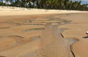 Container Vermelho na beira do rio e a poucos metros do mar com cozinha completo em mogiquiçaba bahia - Foto 26