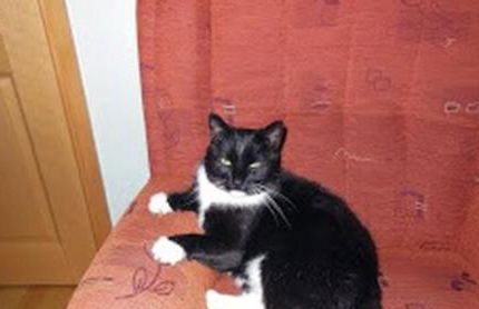 Ferienwohnung im Grünen - Foto 11