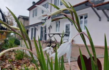 La casa del Tiglio - Foto 17