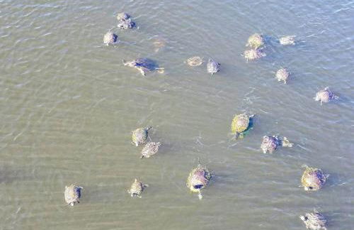 Sailors Cove Mins to the Beach Family Condo - Foto 22