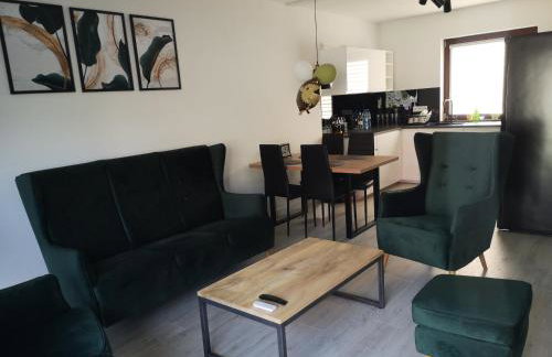 Willa Kaszubski Sendom - Foto 19