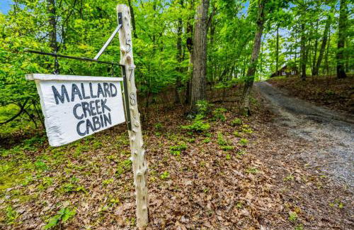 Mallard Creek Cabin - Firepit - Kitchenette - Large Deck - Gas Grill - Foto 23