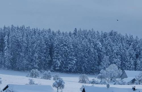 Schweizer´s Ferienwohnung - Foto 37