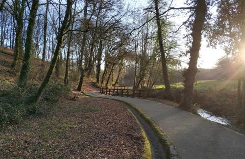PRECIOSA CASA DE 4 HABITACIONES EN PLENO CORAZÓN DEL CAMINO DE SANTIAGO! - Foto 40