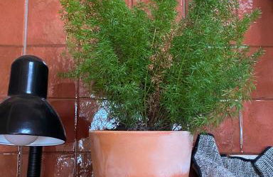 CASAS LENTAS Slow Living-Óbidos - Foto 72