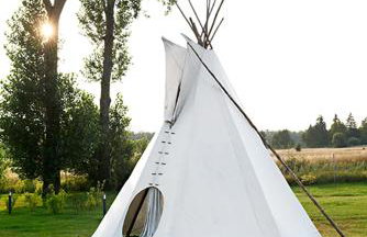 Stara Szkoła Browina - Foto 20