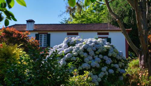 Valle Paraizo - Foto 5