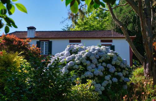 Valle Paraizo - Foto 5