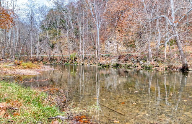 4BR Lodge on Wolf Creek – Fishing, Hiking, New River Fun & Hokie Weekends - Foto 36