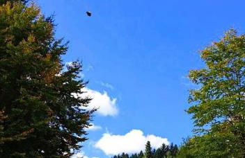 Ferien im Kühbergstadl - Foto 30