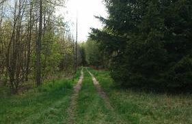 Cicho Cichuteńko - Foto 41