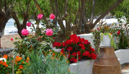 Maganas Hotel - Foto 3, Garden