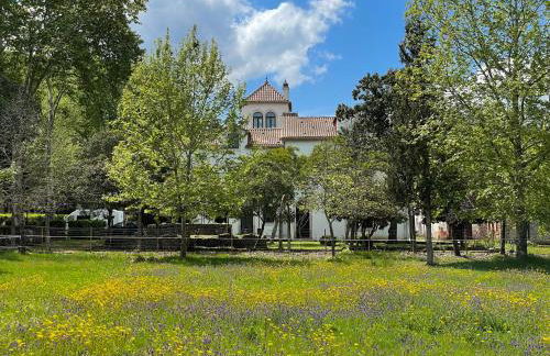 Quinta do Areal - Foto 7