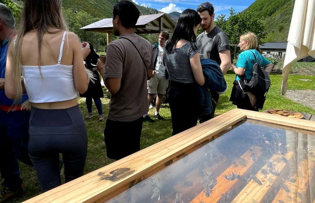 Visita a una granja de abejas con degustación de miel - Foto 7