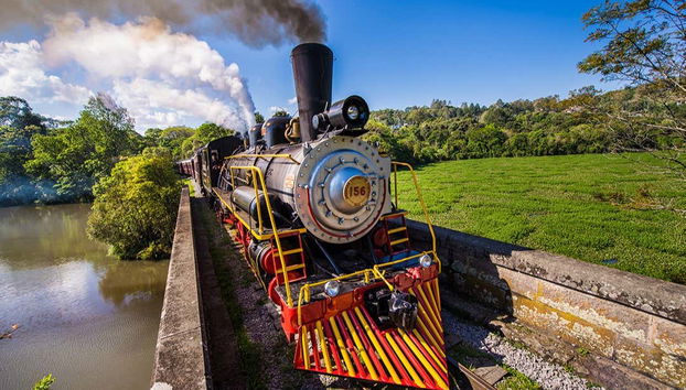 Treno Maria Fumaça + Vendemmia in un'azienda vinicola - Foto 3
