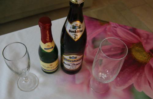 Erzgebirgsferien - Foto 11