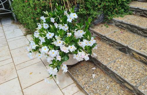 APT 65 M2 DANS VILLA AVEC PISCINE BANYULS SUR MER - Foto 8