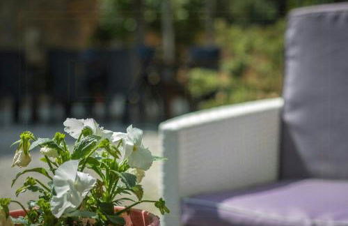 Historic Apartment With Swimming Pool Near Lucca - Foto 36