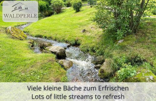 Exklusives 5-Sterne Apartment Waldperle mit Indoor-Pool, Sauna, top Lage und Ausblick in die Natur, Hunde willkommen - Foto 24