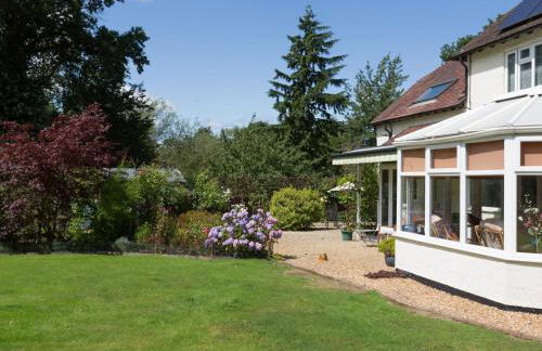 The Big Dingle - Foto 25