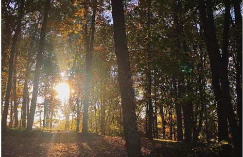 Mountaintop Views, Hot Tub, Deck, Fire Pit & WiFi - Foto 25