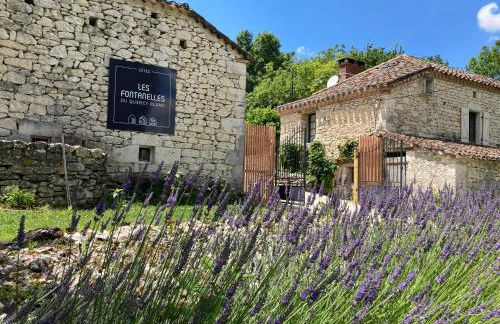 Les fontanelles du quercy blanc - Foto 10