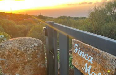 Finca Malu - Foto 16