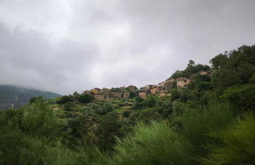 Cantinho do Talasnal - Foto 24