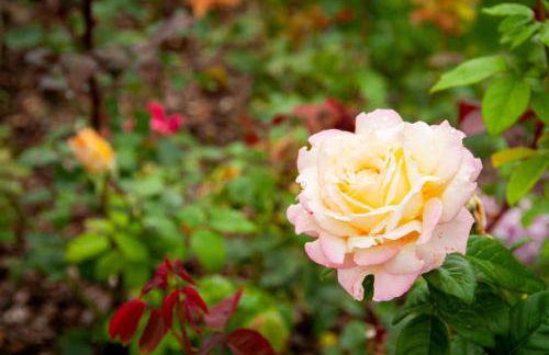 Millefiori Apartment - Foto 18