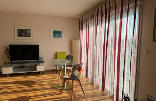 Confort et panorama T3 face à la rivière - Foto 17