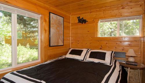 Remington Retreat by KABINO Dog Friendly FirePit Sleeper Sofa WiFi Grill - Foto 4