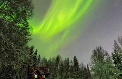 Northern Lights Log House w/ Sauna - Foto 70