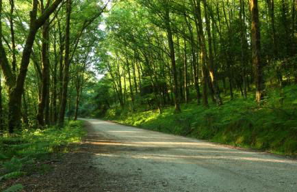 Casa de Penim - Foto 42