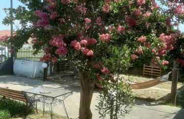 Magnolia House - Foto 3