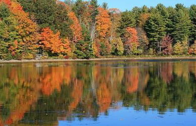 The Woodridge Retreat - Foto 32