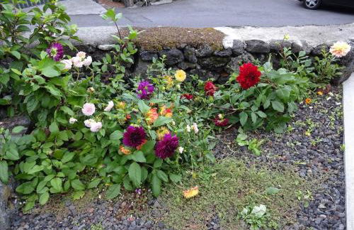 Adega Baia do Canto AL 1398 - Photo 45