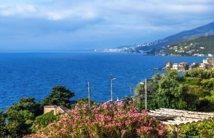 Les Terrasses d'Erbalunga - Foto 65