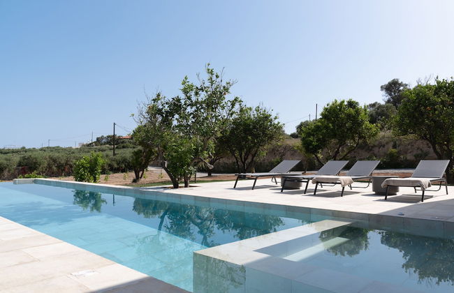 Citrus Grove - Foto 19