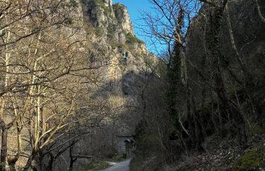 Mountain Serenity - Foto 5