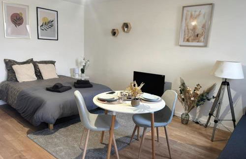 Studio cosy en centre-ville - Foto 1