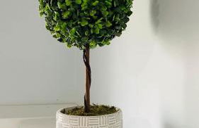 Centrally Conveniently Located - Foto 23