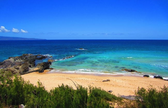 Kapalua Bay Villa 12b2 Gold Ocean View - Photo 33