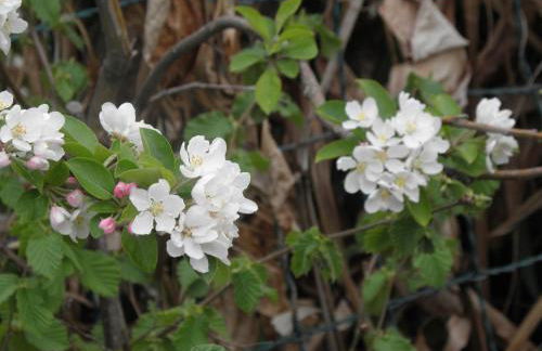 RITA'S ROOM ON THE SEA - Photo 10