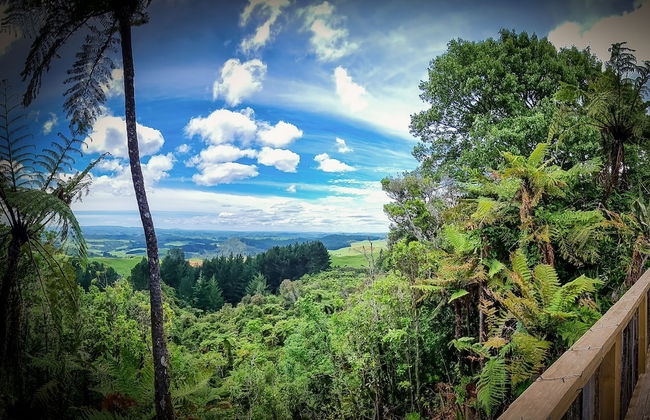 Te Tiro Accommodation - Foto 59